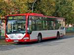 Cottbusverkehr Bus 245 am 8.10.08 in Forst Lausitz .