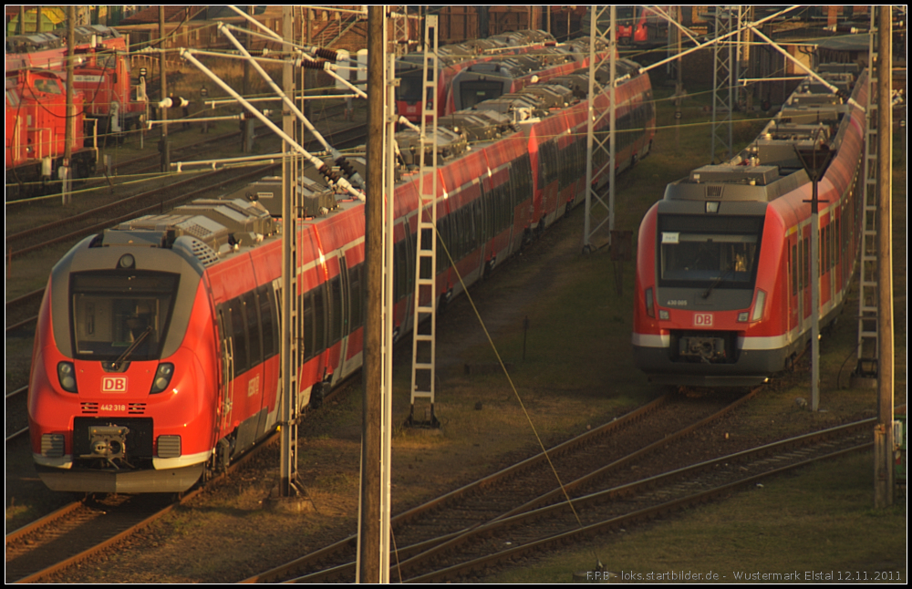 Eintr�chtig stehen die neuen Nahverkehrsz�ge der DB im Rbf Wustermark nebeneinander. W�hrend 442 318 auf die endg�ltige Zulassung wartet, wird 430 005 Ende 2012 in Stuttgart oder im Rhein-Ruhr-Netz zum Einsatz kommen (gesehen am 12.11.2011)