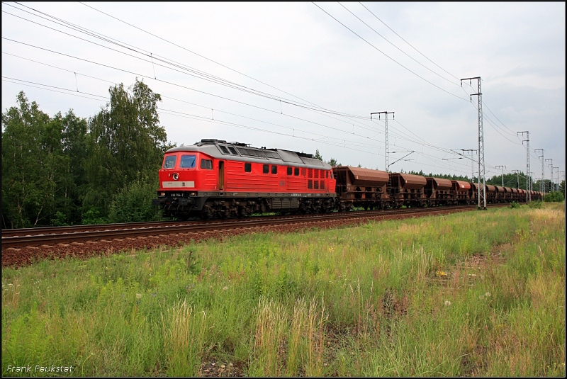 DB 232 704-7 (ex 132 704-8) mit Facns.133-Wagen (Berlin Wuhlheide, 29.06.2009 - Update: 09/2012 in N�rnberg Rbf abgestellt; 10/2012 nach Chemnitz �berf�hrt)