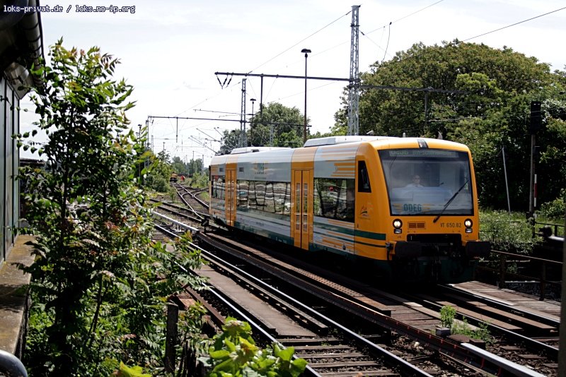 ODEG VT 650.82 / 650 082 als OE36 Schöneweide in den ODEG-Farben kurz vor der Einfahrt in die Endstation - 14.05.2009

