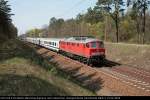 DB Schenker 232 524-9 mit dem Berlin-Warschau-Express nach Warschau (ohne Logo, ex 132 524-0, gesichtet Gr�nheide Fangschleuse, 14.04.2009).