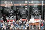 41 1144-9, 52 8047-4 und 50 3610-8 sehen dem buntem Treiben an der Drehscheibe w�hrend des Festes zu (2. Dresdner Dampfloktreffen, Bw Dresden Altstadt 27.03.2010)