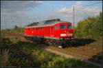 DB Schenker 233 636-0 setzt sich vor einen G�terzug (NVR-Nummer 92 80 1233 636-0 D-DB, ex DR 132 636-2, ex DR/DB 232 636-1, Remotorisierung mit Kolomna Dieselmotor vom Typ 12D49M, gesehen