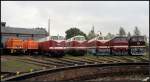 Klein- und Gro�diesel eintr�chtig nebeneinander vor der Drehscheibe.