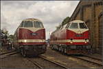 Bei dichter Bew�lkung standen die beiden Gro�diesel BUNA 204 / 228 501 und DLFB 119 158 / 219 158 w�hrend des 15.